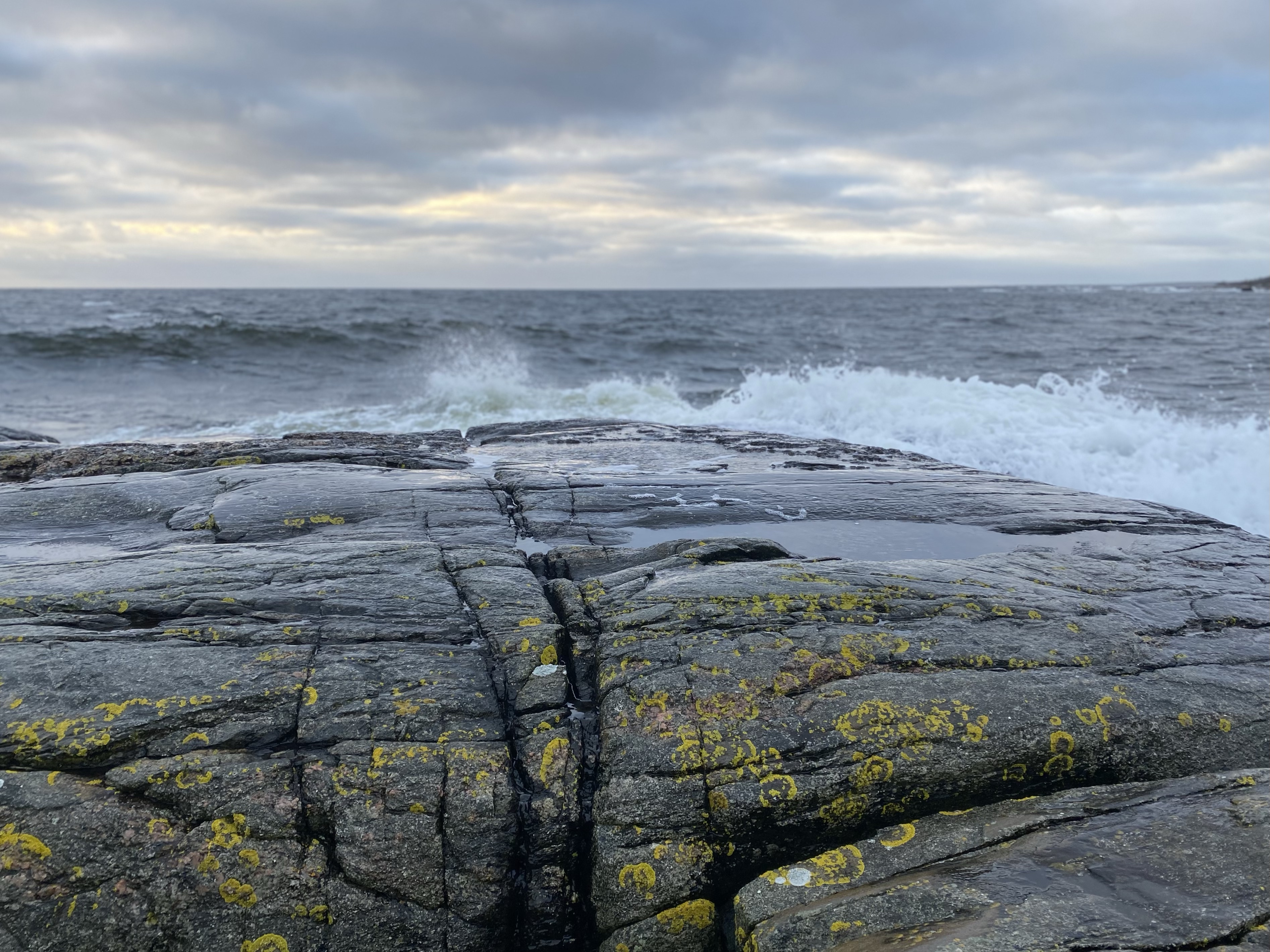 Frågor av eländesnatur.