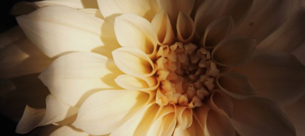 Tråkigt respektive spännande.