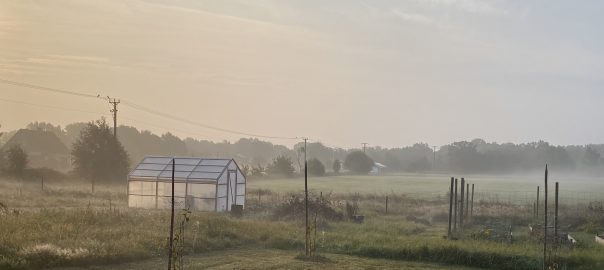 En liten tacksamhetsmeditation.