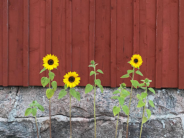 Inte sommar, inte höst.