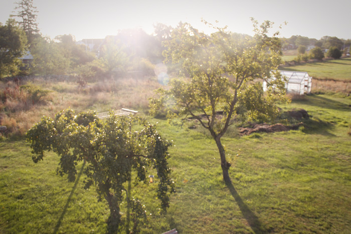 Får man ändå längta lite i nuet?