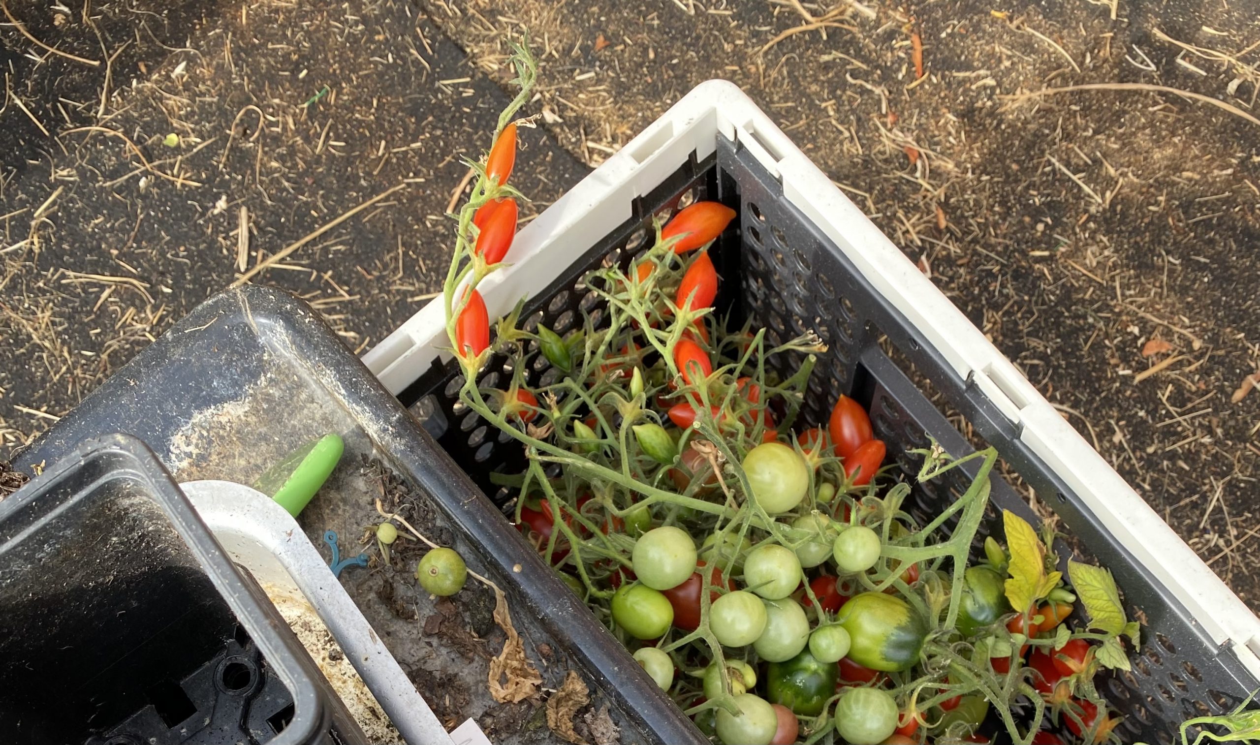 Att göra-listor som aldrig blir färdiga.