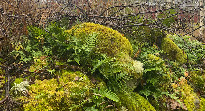 Ny dator, nya förutsättningar.