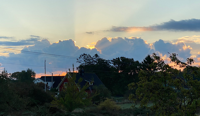 Lite oktobernedslag i trädgården.