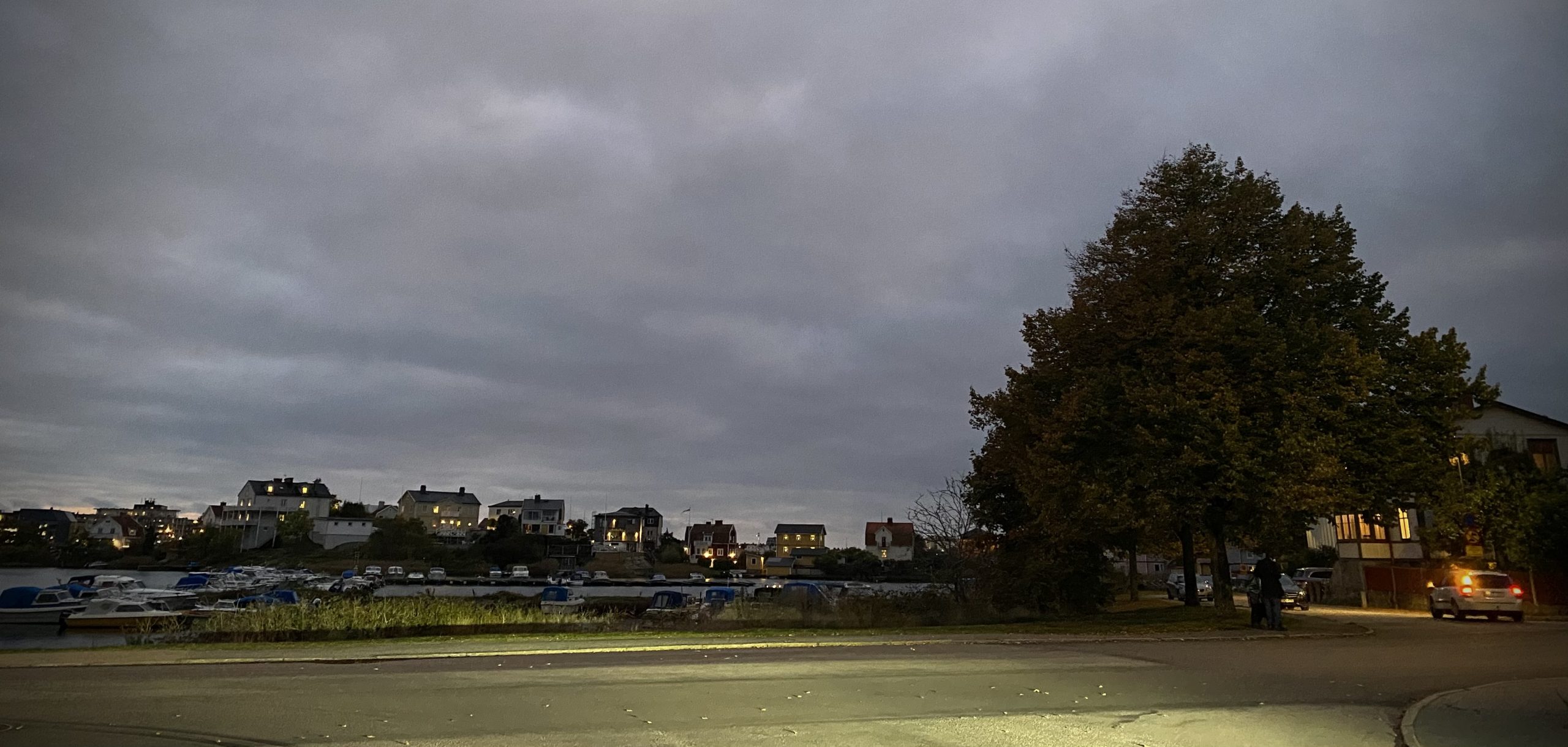 Dahliarabattens sista suck.