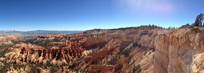 Idag firar vi livet!